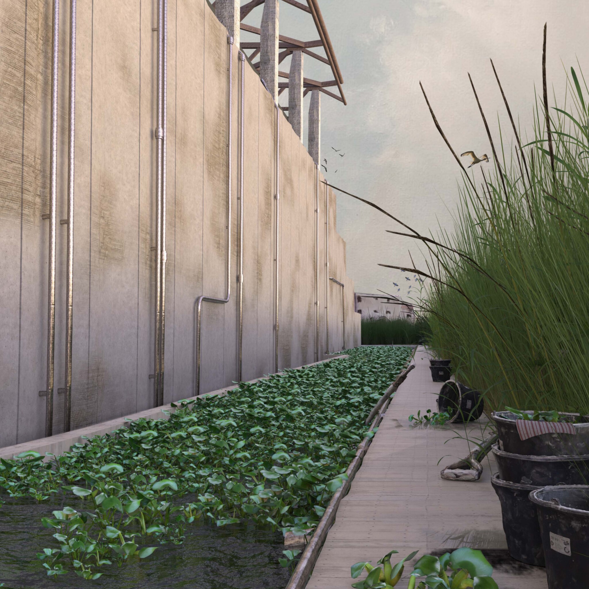 natural sewage treatment plant